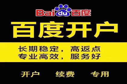 竞价排名与内容营销的结合案例